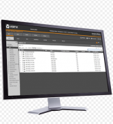 DSV4.5-100DEV